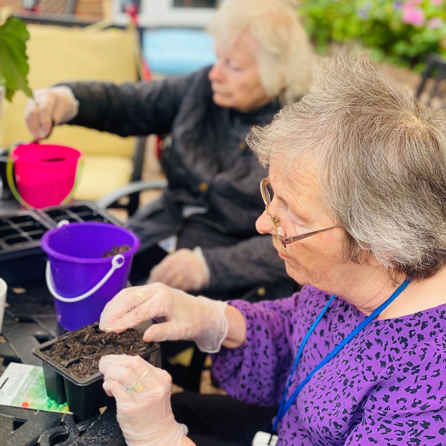 Salveo Care | Some of our residents in our gardens